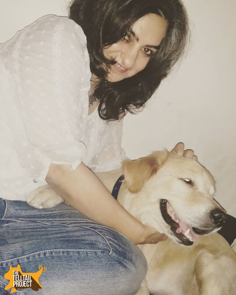 TheTellTailProj's tweet photo. This human is our baby and we know we will not get infected by her so we are keeping her
https://t.co/w1QAdBHPYO
#animalsandtheirhumans #thetelltailproject #AdoptDontShop
#dogsoftwitter #COVID https://t.co/BdTRXysFHc