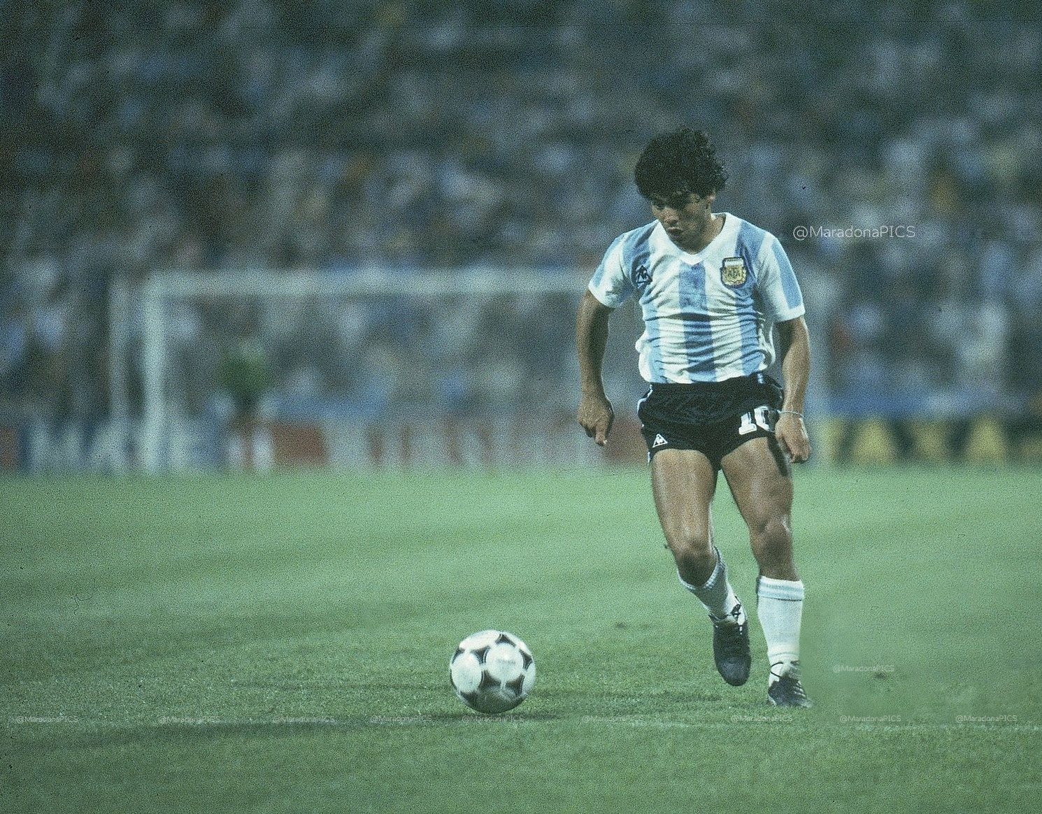 FOTOS HISTORICAS O CHULAS DE FUTBOL - Página 17 EVKVtk6U0AAZkxm?format=jpg&name=large