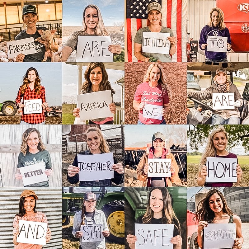 kt_dowson's tweet photo. Some fellow ag ladies and I came together on Instagram and did a pretty cool thing. 😊 
@ErnHolbert https://t.co/h4x59NArgj