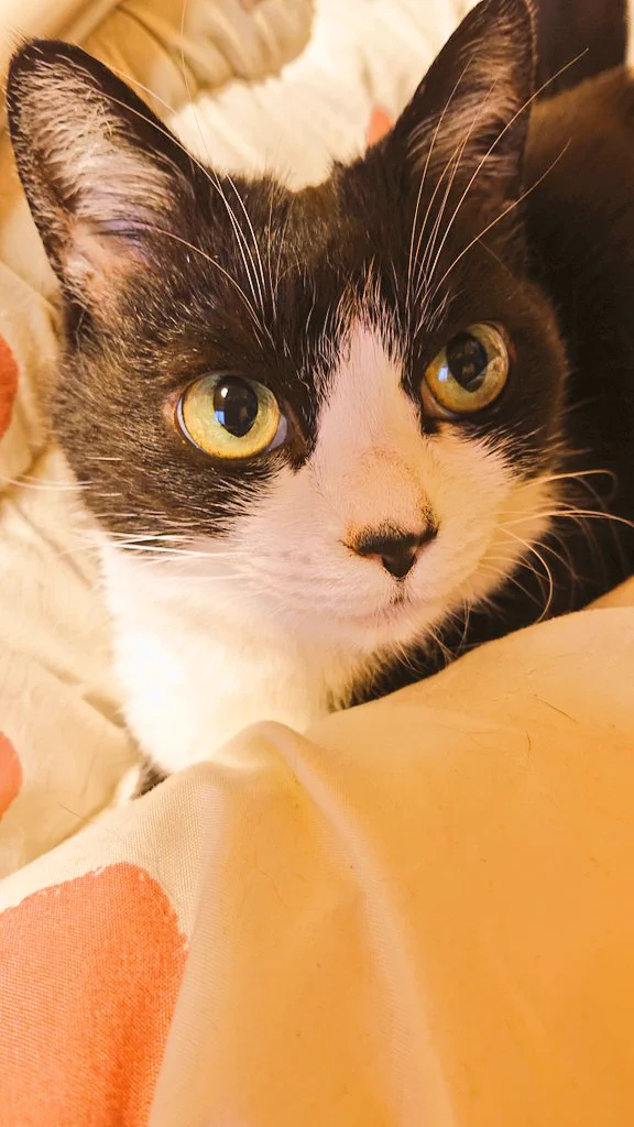 @vriGOpzvmMRE5Dv お母さん凄い(笑)
偶然かもしれないけれど、意思の疎通ができた時は「最高✨」です(^^) 