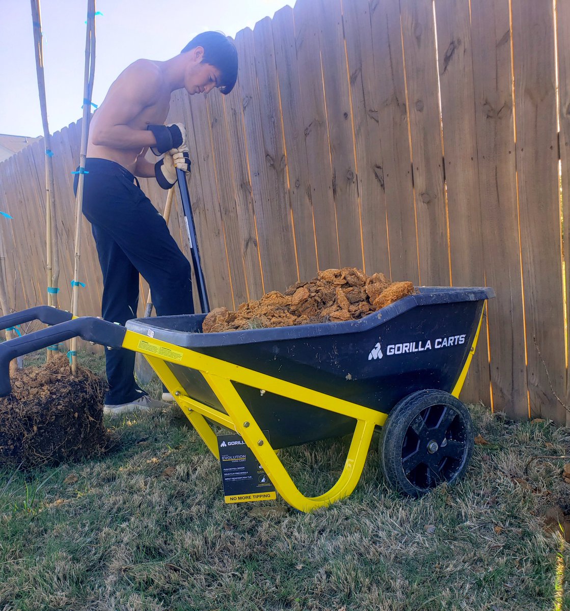 BennettJudy1's tweet photo. In addition to daily workouts, my family added digging 63 holes in hard clay to my routine. #landscapeclass 🤣 https://t.co/VErVUTIgsI