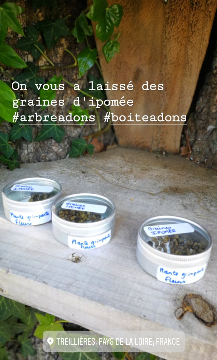 Avec <a href="/BidulArt/">Bidul'ART ♻</a> on s'est dit qu'on pouvait participer à la baisse des accidents domestiques des bricoleurs du dimanche, on vous a mis des cabanes à oiseaux en libre service à côté de l'arbre à dons qui va bientôt fêter son 1er anniv
#free #don #treillieres #réemploi