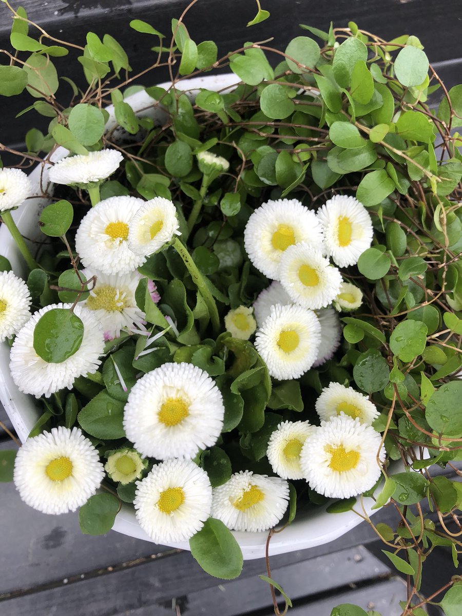 #Elämäkuvina
Päivä elämästäni 7/7. 
Ei sanoja eikä ihmisiä. 
Minut haastoi <a href="/UllaHytti/">Ulla Hytti</a> <a href="/RLaihinen/">Riikka Harikkala-Laihinen</a> <a href="/JeskanenKirsi/">Kirsi Jeskanen</a> 
Minä haastan <a href="/JuvonenNoora/">Noora Juvonen</a>