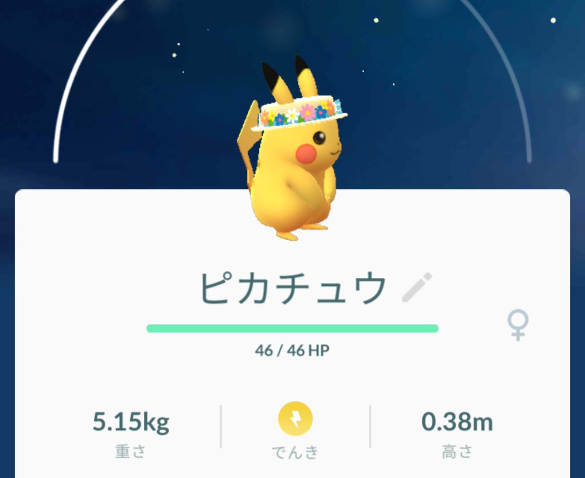 花帽子ピカチュウ Twitter Search 花帽子ピカチュウ Twitter Search