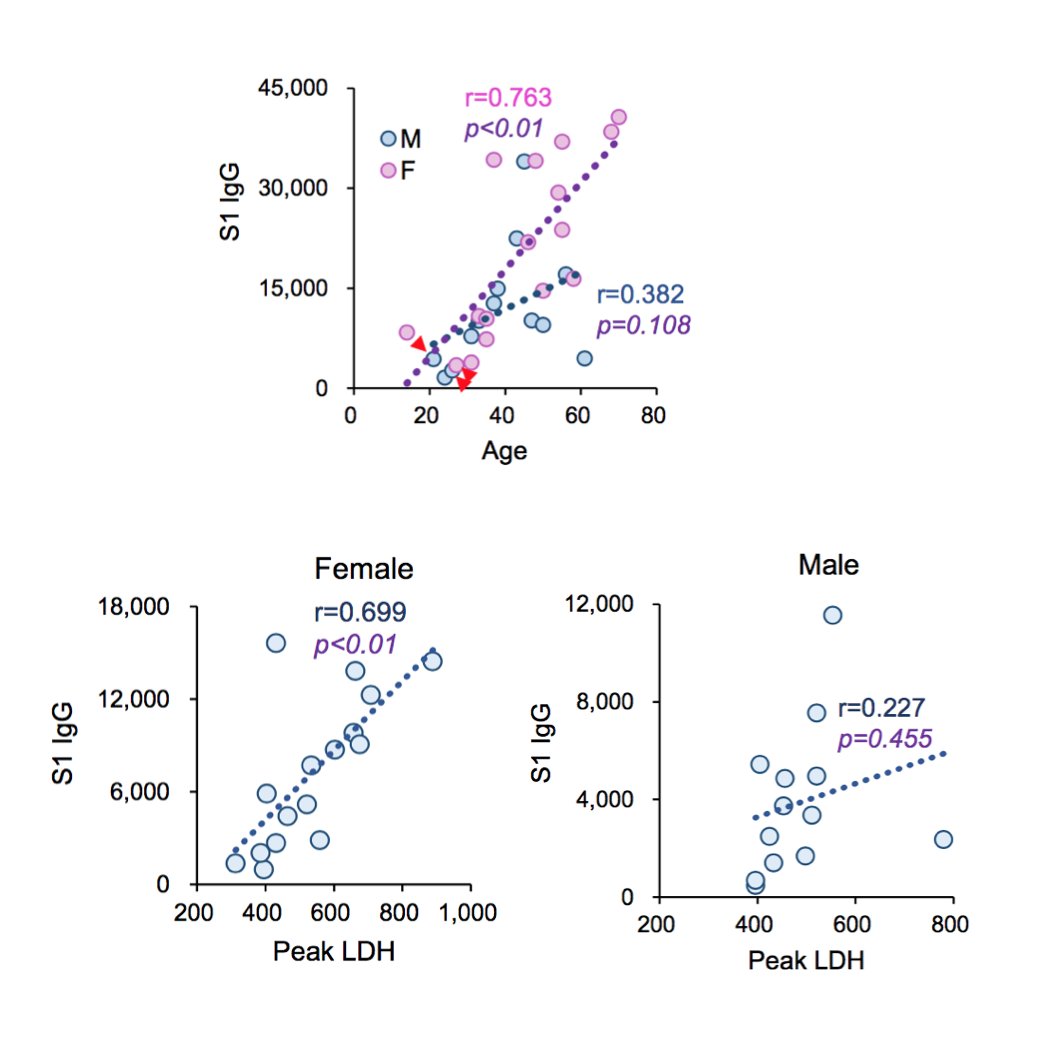 Similarly, anti-spike IgG positively correlated with age in  #COVID19. Interesting how the relationship between age and antibody titres is more linear in females. Additionally, anti-spike IgG positively correlated with inflammatory marker LDH. (11/13)  https://www.medrxiv.org/content/10.1101/2020.03.20.20039495v1.full.pdf+html