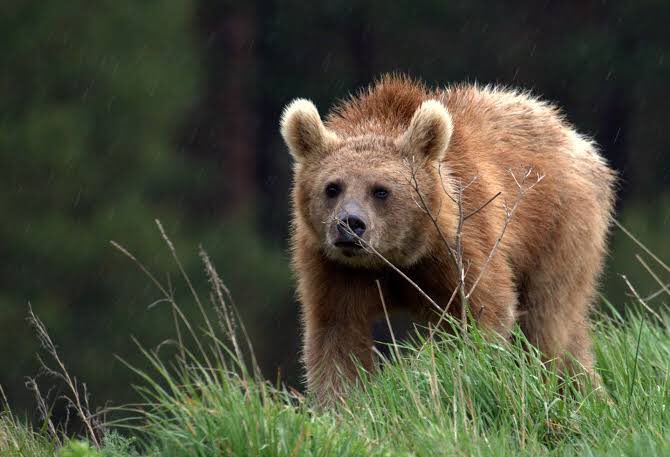 Haksız mıdır? Doğrudur.