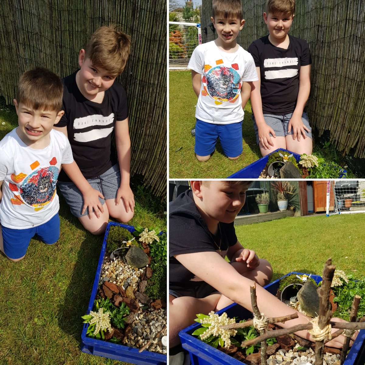 EvaBrzozowski's tweet photo. @StMary_ofAngels 
Matty and Marcel was very busy this morning doing #eastergarden 
💚💚💚💚💚💚
#catholicfamily #easter2020 #Homeschooling #REducation #holyweek #HolyWeekAtHome https://t.co/qq8IpLp3Us