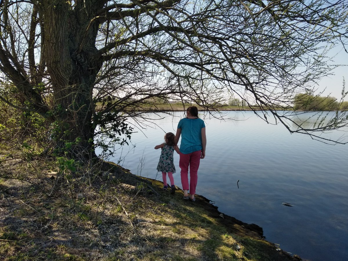 rivieractief's tweet photo. Struinen langs de Lek #Culemborg @Culemborg @Culemborgklopt #wandelen #rivieren #struingids #rivierenland #waterland @BSCulemborg #boom #water #handinhand @Lingestreek #Lek @WaterNatuurlijk https://t.co/4wGDDxJQOs