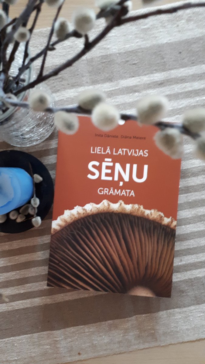Tikko saņemts! Sajūsmā, jo izskatās garšīga. Nevar sagaidīt, kad ķeršos klāt izpētei un pielietojumam. #mikologs #Latvijassēnes