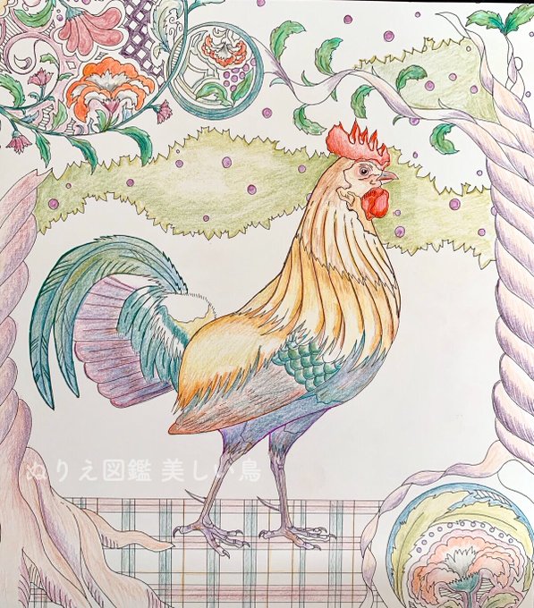 美しい鳥のtwitterイラスト検索結果 古い順