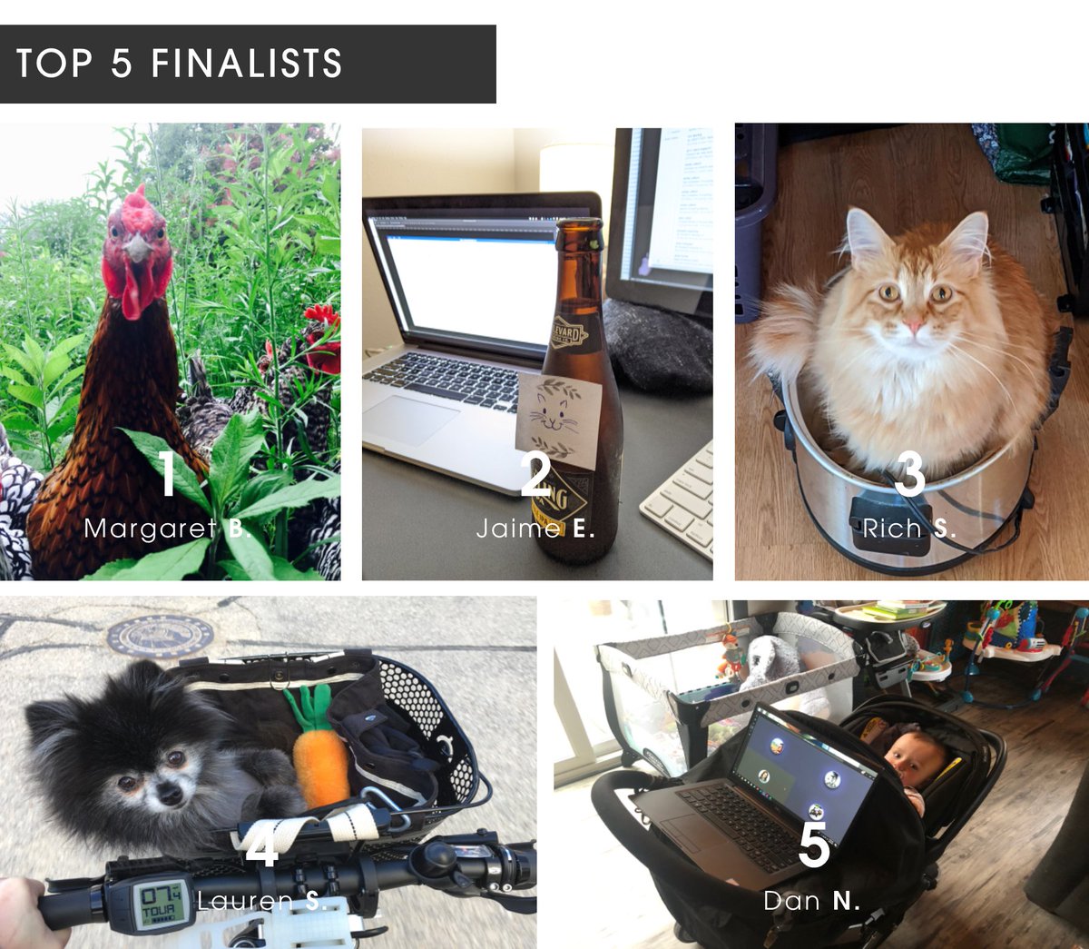 Our co-workers are looking a bit different these days! Vote for your favorite office mate with a reply. The picture with most votes will win a special prize! #workingfromhome
