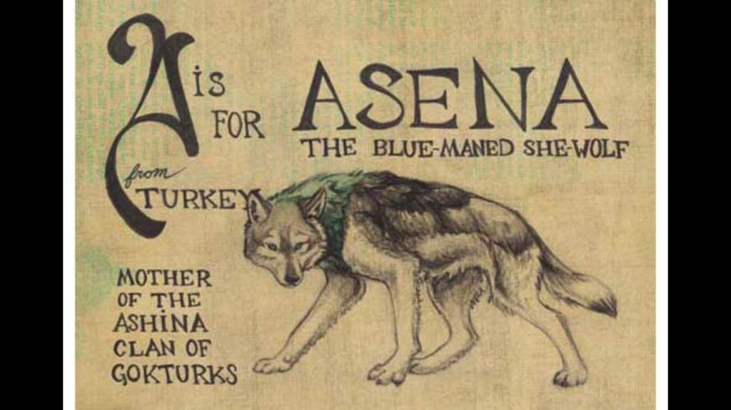 Asena, an old she-wolf with a sky-blue mane found a baby & nursed him. Gave birth to half-wolf, half-human cubs from whom Turkic people/Turkey born! A grey wolf showed the Turks the way out of their legendary homeland Ergenekon, which allowed them to spread/conquer neighbours!