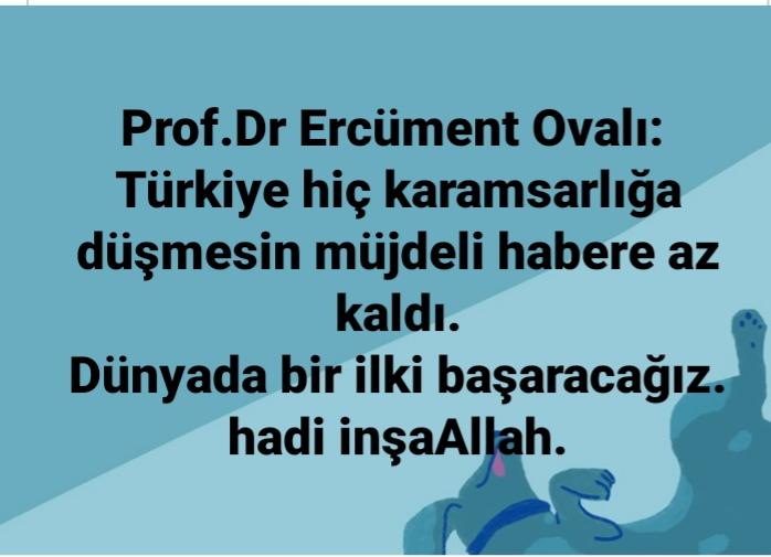 Hülya İlkılınç (@hulyailk) on Twitter photo 