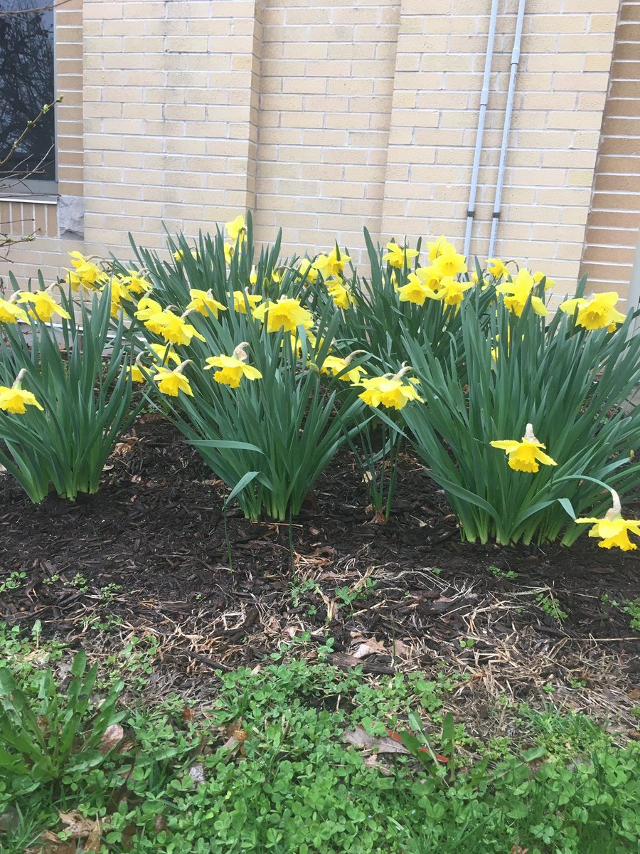ECFacilities's tweet photo. Spring on campus

Happy Easter! https://t.co/6JIWX0LhjX