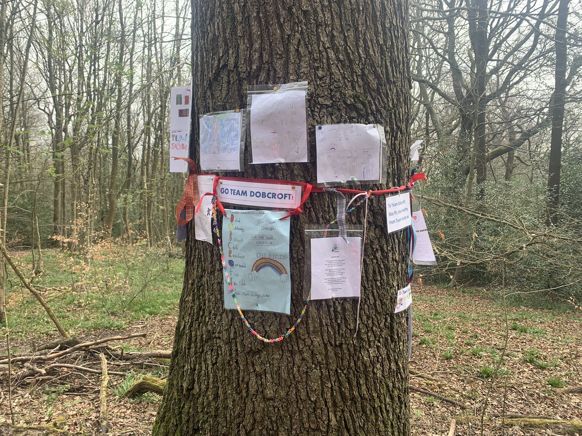 Spotted on our walk through the woods. <a href="/DobcroftInf/">Dobcroft Infants</a> <a href="/dobcroftjunior/">Dobcroft Junior School</a> working hard to keep our kids safe ♥️
