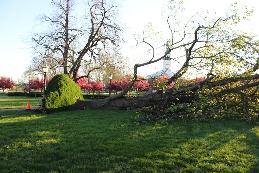 Due to last night's severe storms we have multiple trees down throughout the park and the city. Our staff is currently assessing the damage and will begin the clean up process once that has been completed. 
We will keep you informed of any updates here and on Facebook.