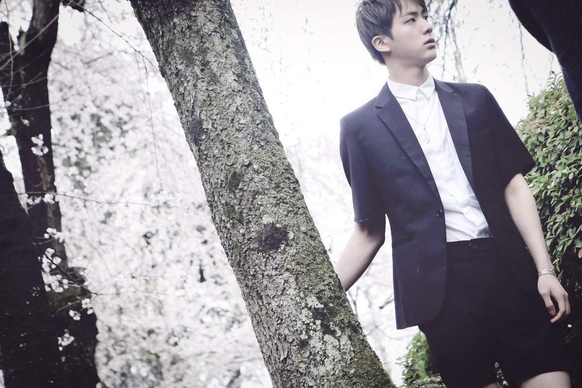   #Seokjin   #JIN  @BTS_twt