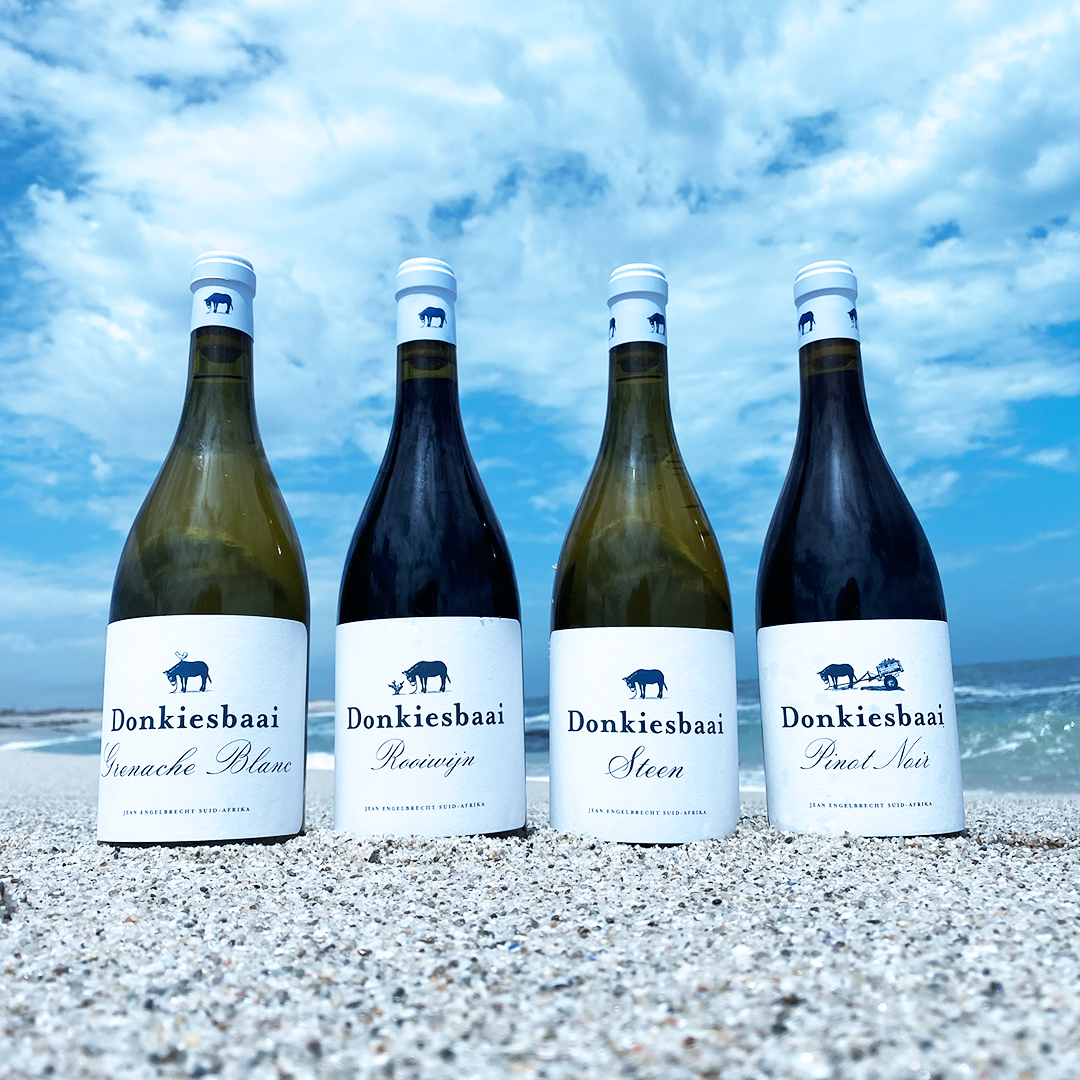 The collective noun for donkeys is a drove, a pace or a herd.  
Presenting: A Drove of Donkies.