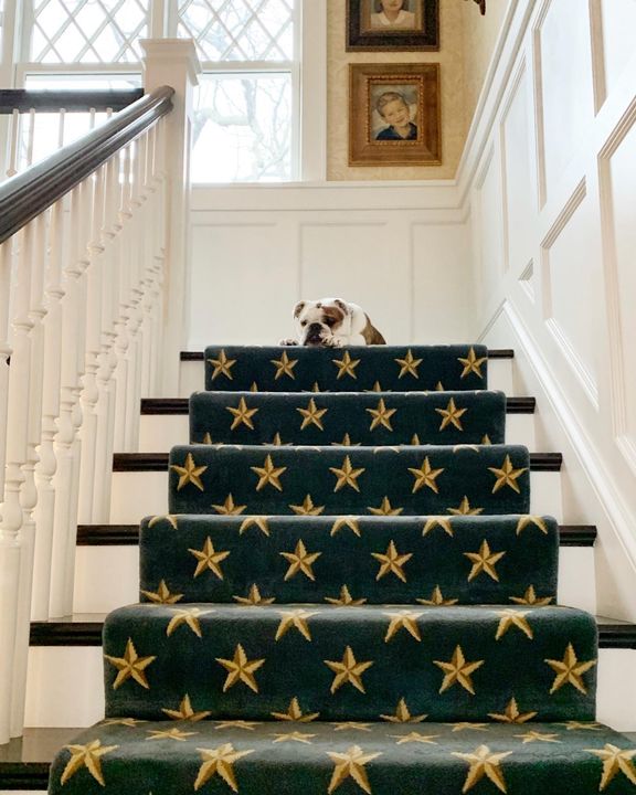 stantondesignco's tweet photo. Cute dogs and beautiful carpets... (Lake Ontario)
.
.
.
#repost #stantoncarpet #interiordesign #entryfoyer #luxurydesign #staircase #cutedogs #designer #interiors #homeinspo (πΈ: @sweetshadylane) https://t.co/BRdI6k6pUp