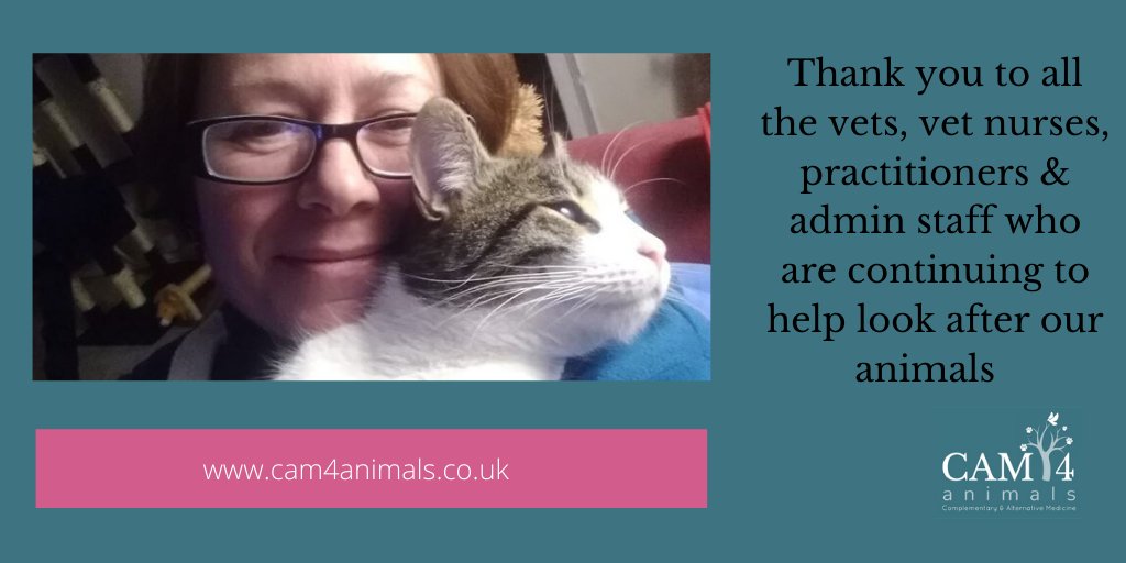 CAM4animals's tweet photo. ๐พ๐โ๐ฆบ๐๐#ThankYou๐to all #vets #vetnurses #practitioners #trainers #behaviourists caring for our #pets #dogsoftwitter #cats #horses for example with #acupuncture #herbalmedicine #Physiotherapy #hydrotherapy #Homeopathy #massage #bowentechnique #bodywork #osteopathy #chiropractic https://t.co/jVsM8qBs4D