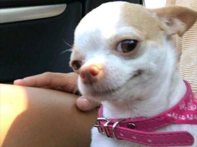 Que quieres comer Que quieres comer