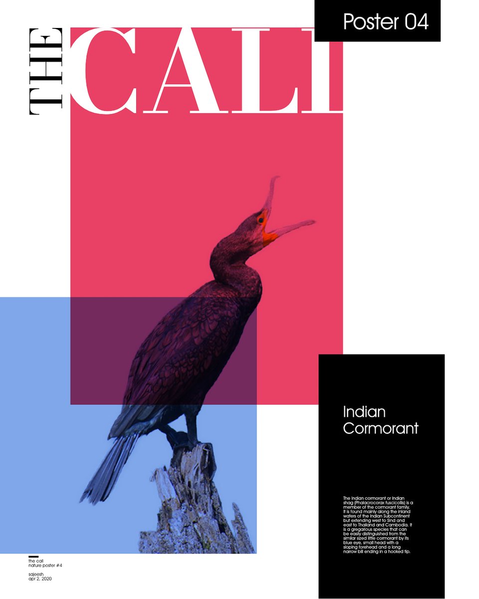 #posterdesign 4 Another poster on Cormorant titled "The Call".  #GraphicDesign  #affinity  #designthinking 5/n