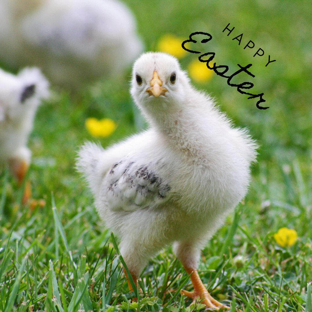 brightcloudgrp tweet picture