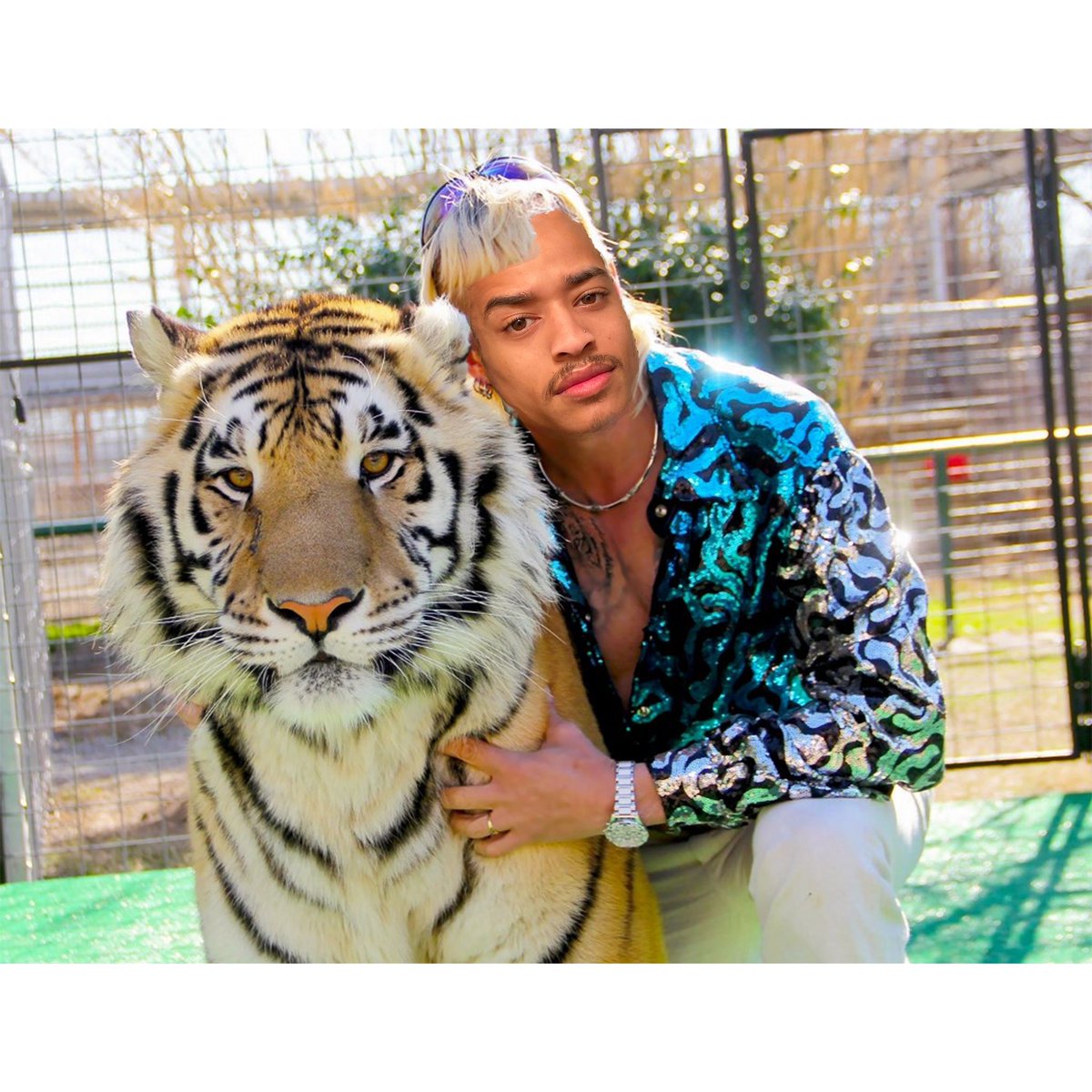 Markese_Rivera's tweet photo. Fuck carol! π€ #tigerking #highguykee https://t.co/oTrnI6urek