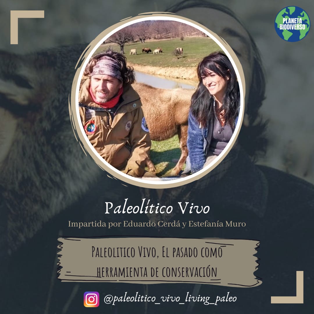 "FUTURO FÉLIX" 
Los directores de <a href="/PaleoliticoVivo/">LivingPaleolithic</a>, Eduardo Cerdá y Estefanía Muro nos hablarán sobre "Paleolítico Vivo. El pasado como herramienta para la conservación". 

Ellos nos trasladarán al pasado, donde aprendimos a sobrevivir

Más información en: instagram.com/p/B-mFVJxqZV2/…