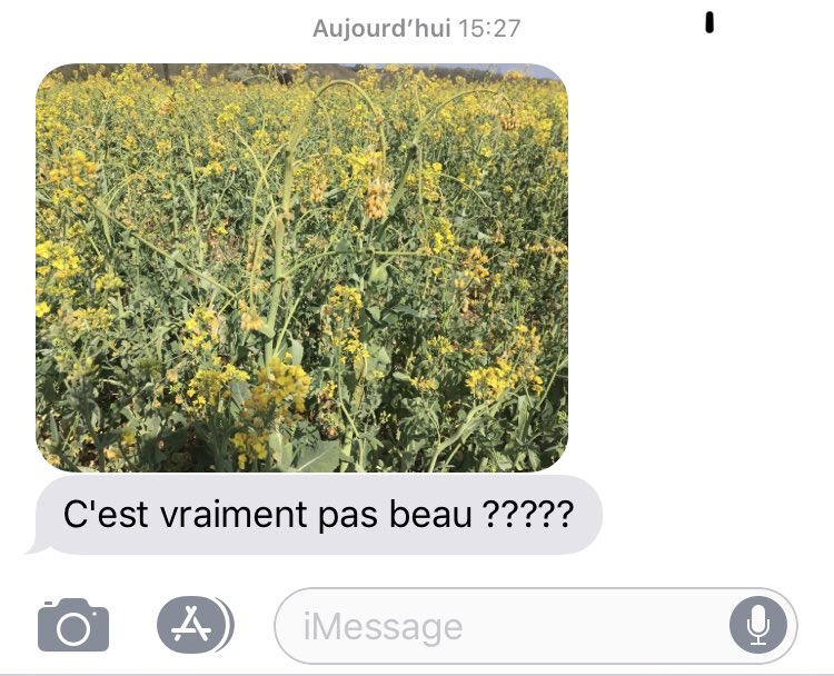 OlivierCOSTE2's tweet photo. @BONNIN1402 @joypettini @bigard_q @laurentjung54 @BenoitMallinger @BADURAUX_j @Nicolasgru55 @ColzaDifferent @OM_TInovia Je viens de recevoir un #sms depuis mon #télétravail,de notre client #agriculteur #chezceuxquifontlesessais #colza #Maligny #Chablis #Yonne @terresinovia. https://t.co/mJZYrUgMf2