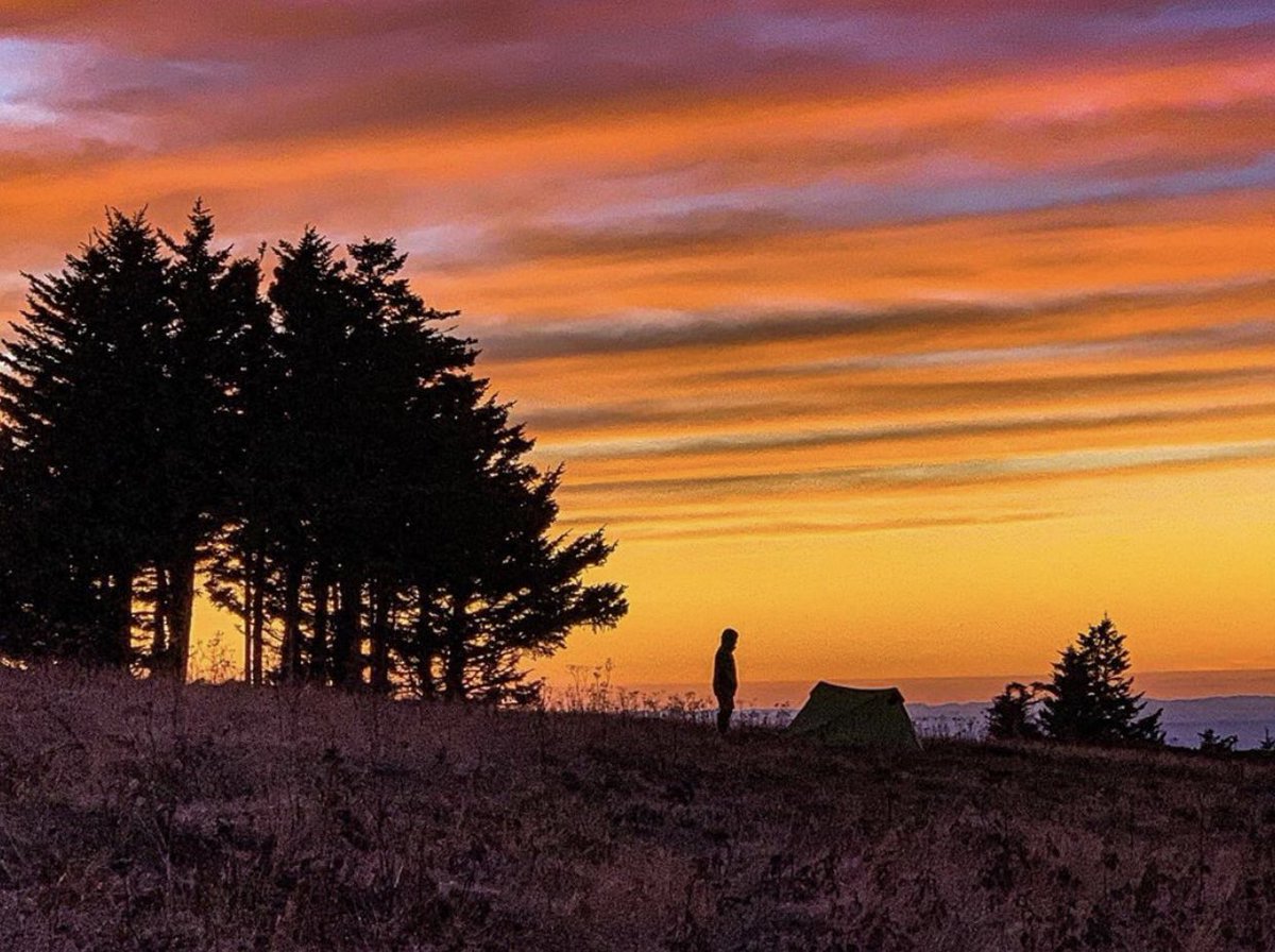 TristarAdventur's tweet photo. This is one of our favorite times of year to go camping. Hopefully we will all be able to visit @tennesseestateparks again soon. 

📸 from Roan Mountain by @upnadamadventures 

#tnstateparks #tennessee #roanmountain #onlytennisee #easttennessee #socialdistancing #tnstayapart https://t.co/nAOisCwApa