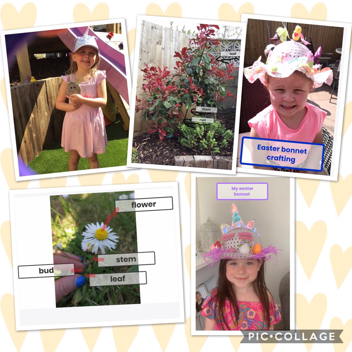 CGPrimary's tweet photo. Class 4 have been busy on their @Seesaw accounts. Look at some of the fabulous activities the children have been up to. Well done everyone, I am very proud of you. Stay safe! Mrs Kirmse ๐๐ฅฐ #CGPDCF #CGPHL https://t.co/rkcAaT2Hay