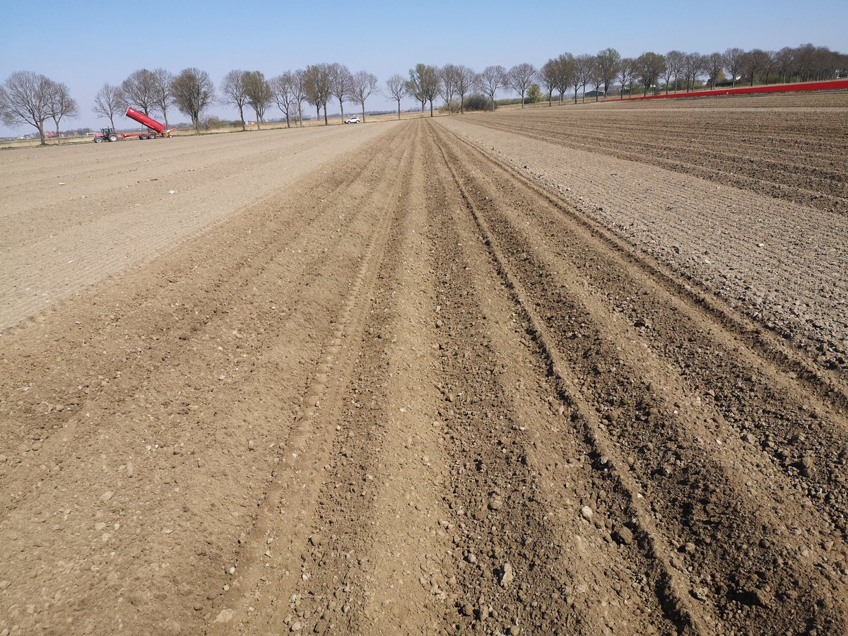WBrooymans's tweet photo. Gister mest erop en paragrubber met kopeg. Vandaag dan toch eindelijk de #frieslanders erin. Hopelijk brengen zo ook nog wat op in september..... #oogst20 #nkg https://t.co/vE73AetaEJ
