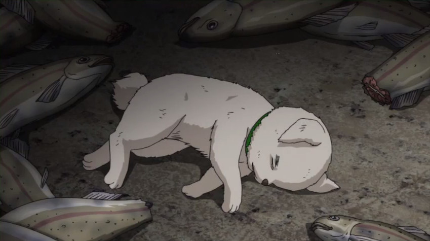 พูดถึงกินทามะตอนที่คนไม่รักหมาก็ร้องไห้ตาบวม ยกให้ตอนซาดาฮารุหนีออกจากบ้าน คุณกินถังแตกเลยแย่งอาหารและพูดจาทำร้ายจิตใจซาดาฮารุ น้องเลยหนีออกจากบ้านไปเจอลูกหมาถูกทิ้ง ด้วยความสงสารเลยพาไปด้วย ถึงคราวน้องหมาป่วยซาดาฮารุก็จับปลามาให้ทุกวัน จนถึงวันที่น้องไม่ลุกขึ้นมากินปลาอีกต่อไป..