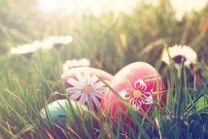 Switalskis's tweet photo. Most of our staff will be taking a break for Easter and will be contactable again from Tuesday 14th. If you need urgent advice, we have a number of 24-hour emergency helplines available - find out more, here on our website - https://t.co/JUFvfgOksc https://t.co/DHlgxJ4hjs