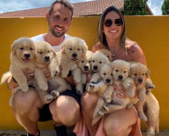 boohoo's tweet photo. "How many dogs do you want?"

Me: Yes

📸 gffkennel https://t.co/9dshPdqPHe