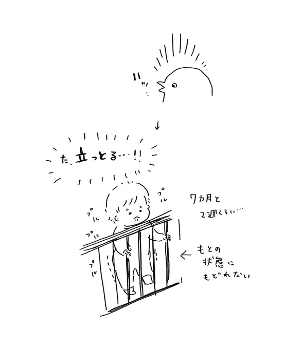 ひなちゃん…あなたまだお座りもグラグラなのに…まだはやいよ… 