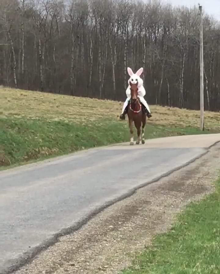 ChuckMiller1225's tweet photo. @kygov  Putting The Easter In Eastern Kentucky !! 😁 #TeamKentucky https://t.co/Cc1Qopd5gi