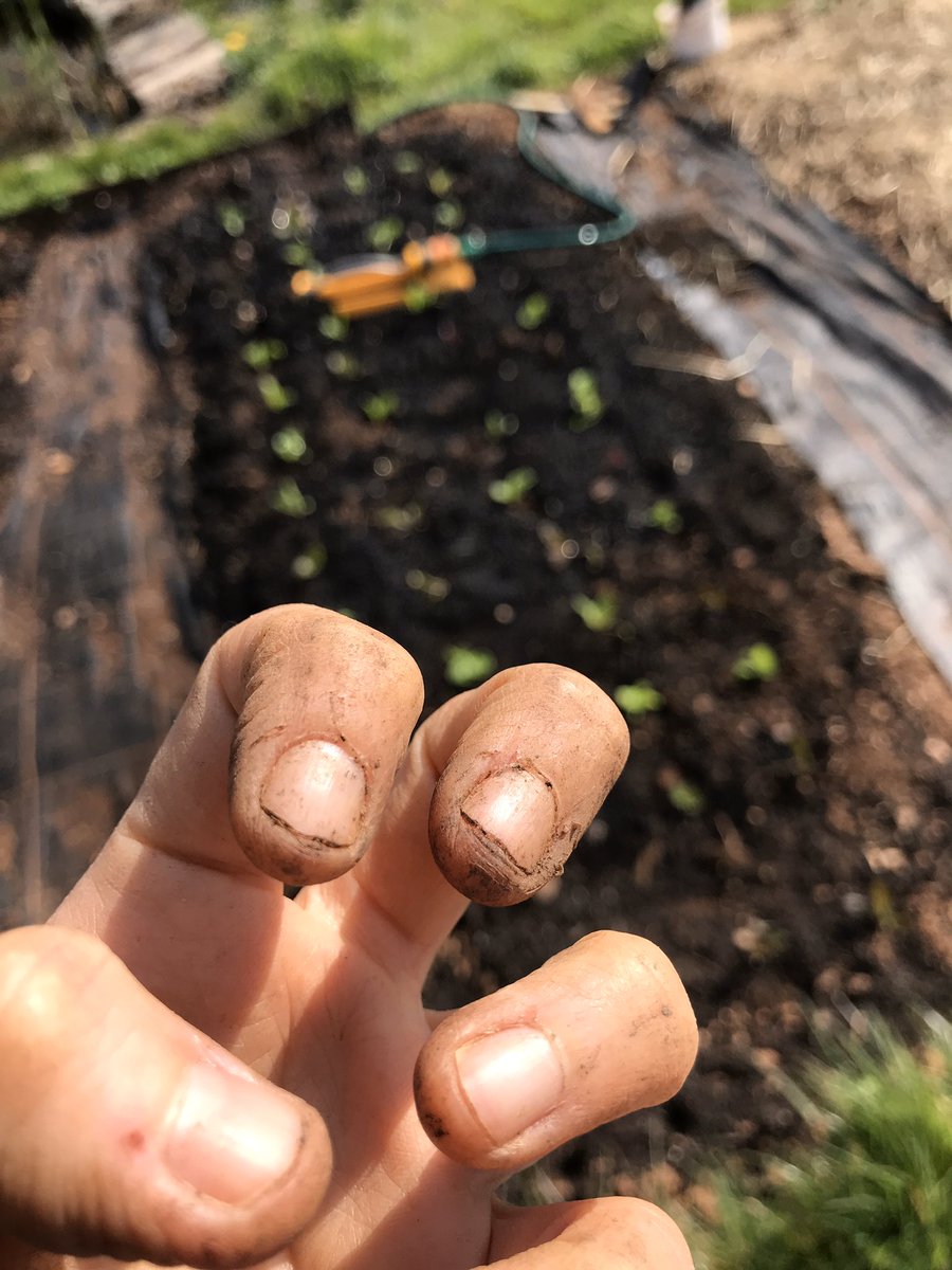 Martha Wright tweet media