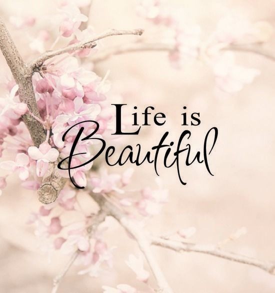 Life is beauty