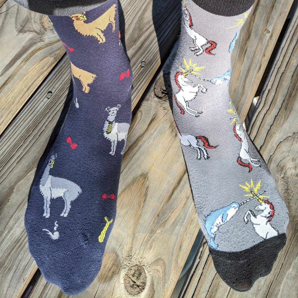 It's crazy sock day! Tag <a href="/thencvf/">NCVF, Inc.</a> and #ncvfsocks in your best sock pictures and our student spirit committee will pick their favorites!