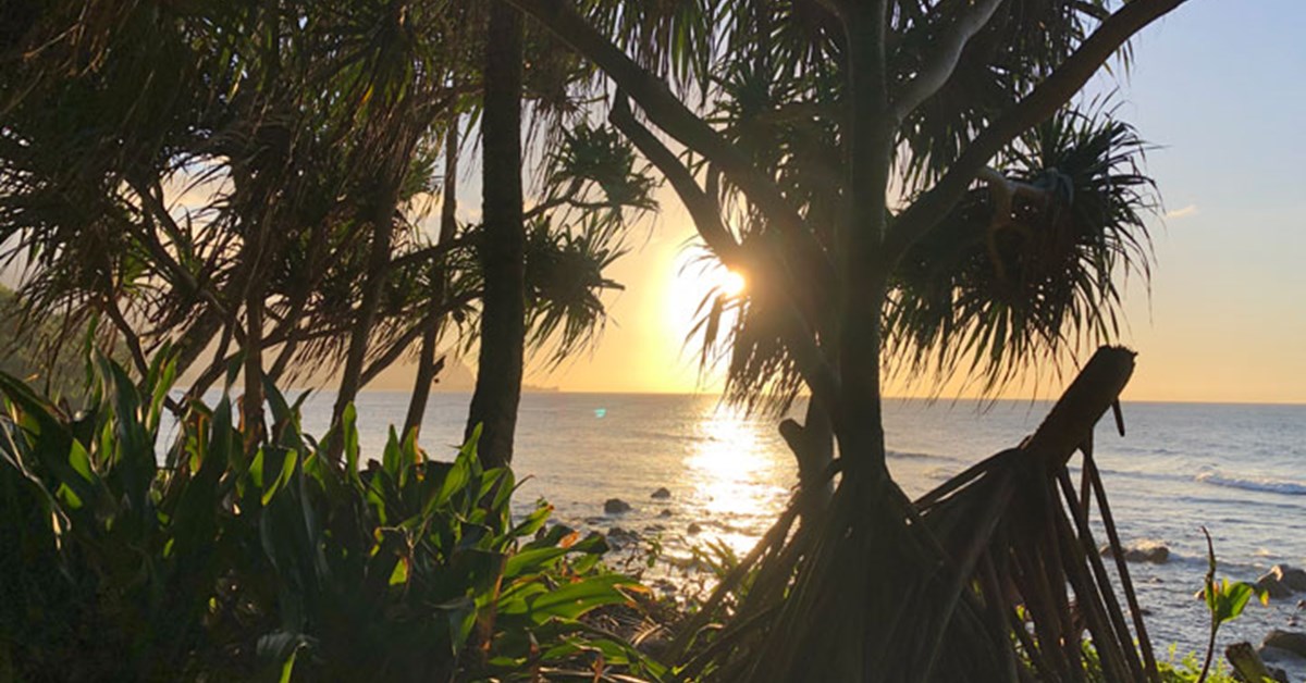 AmericanHunter's tweet photo. Tips and Tactics for DIY Hunting and Fishing in Hawaii
—https://t.co/eSnS5GIsIy—#TipsAndTactics #DIY #Hunting #Fishing #Outdoors #Hawaii #OnIsland #Hiking #Camping https://t.co/0vUHc24Ri6