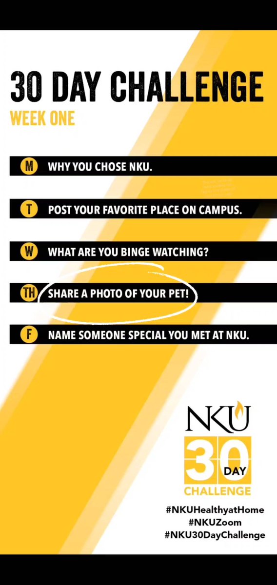nkuedu's tweet image. This is the #NKU30DayChallenge we've been most excited to see! Today's challenge is to share a photo of your Norse pet. 

#NKUHealthyAtHome #NKUZoom