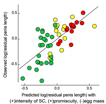 AvianBiology's tweet photo. Leisler & Winkler (2020): The role of female investment in a sexual arms race
https://t.co/jYXGrg6RZe
@wileyecology @NordicOikos #sexualconflict #Anatidae #eggsize #waterfowl #reproductiveeffort #penissize https://t.co/cp8xmK2Z73