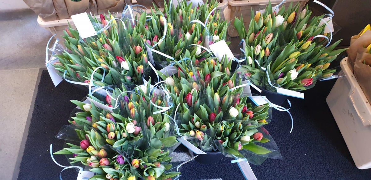 A special gesture in a challenging work environment: Our staff in the Netherlands received flowers today in thanks of their daily efforts in the current climate. All staff picked up the Easter gift from each work hall(at a safe social distance!)

#Easter #CloverWireless #Teleplan