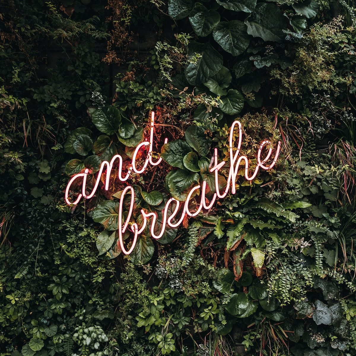 ctmhgroup's tweet photo. It's difficult to find ways to unwind under the current circumstances, but sometimes all it takes is a deep breath and to remember that we're all in this together. #CTMHgroup https://t.co/W6vZqXvAk7
