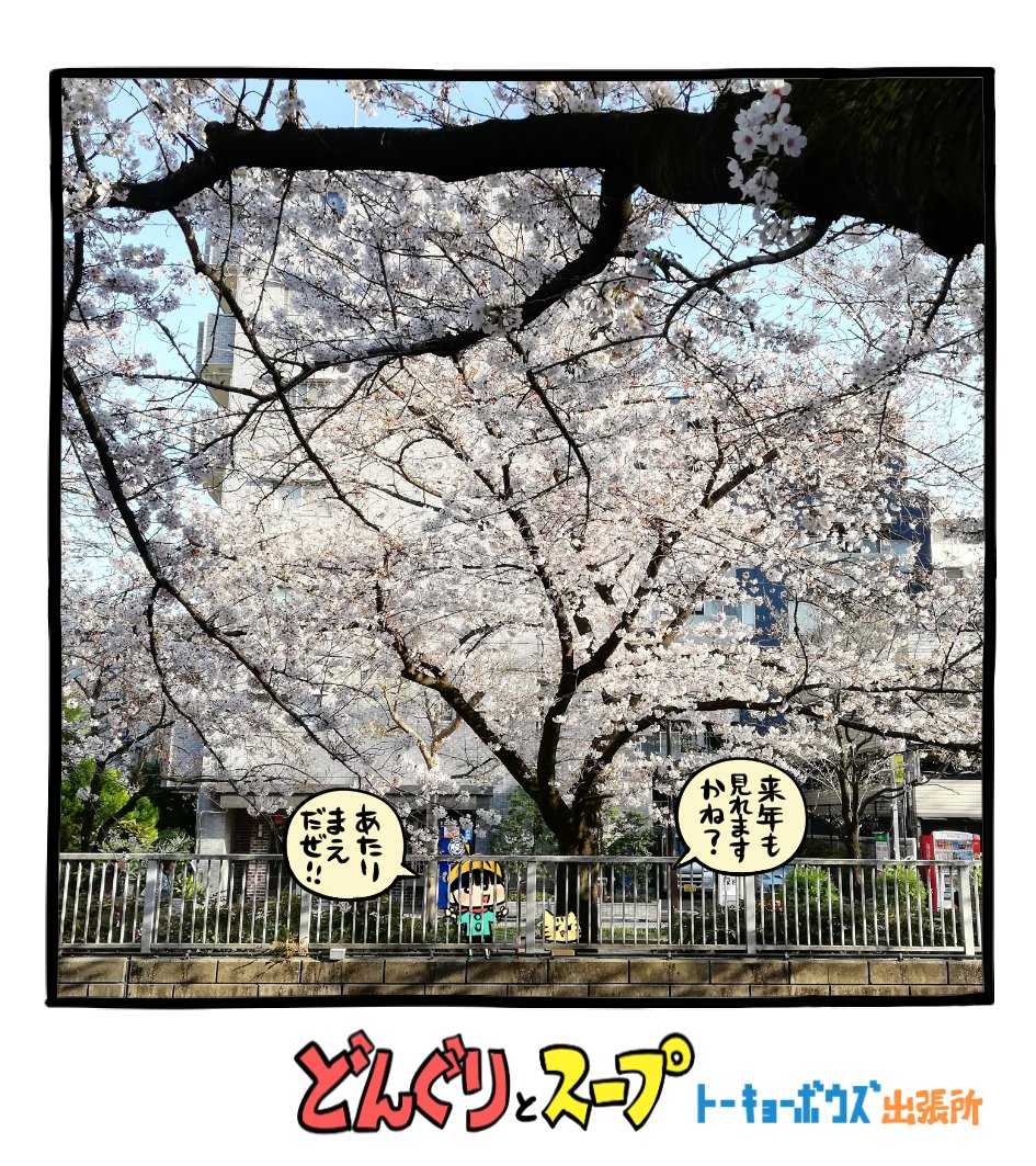 トーキョーボウズのひろボウズ Hirobouz Twitter トーキョーボウズのひろボウズ Hirobouz Twitter