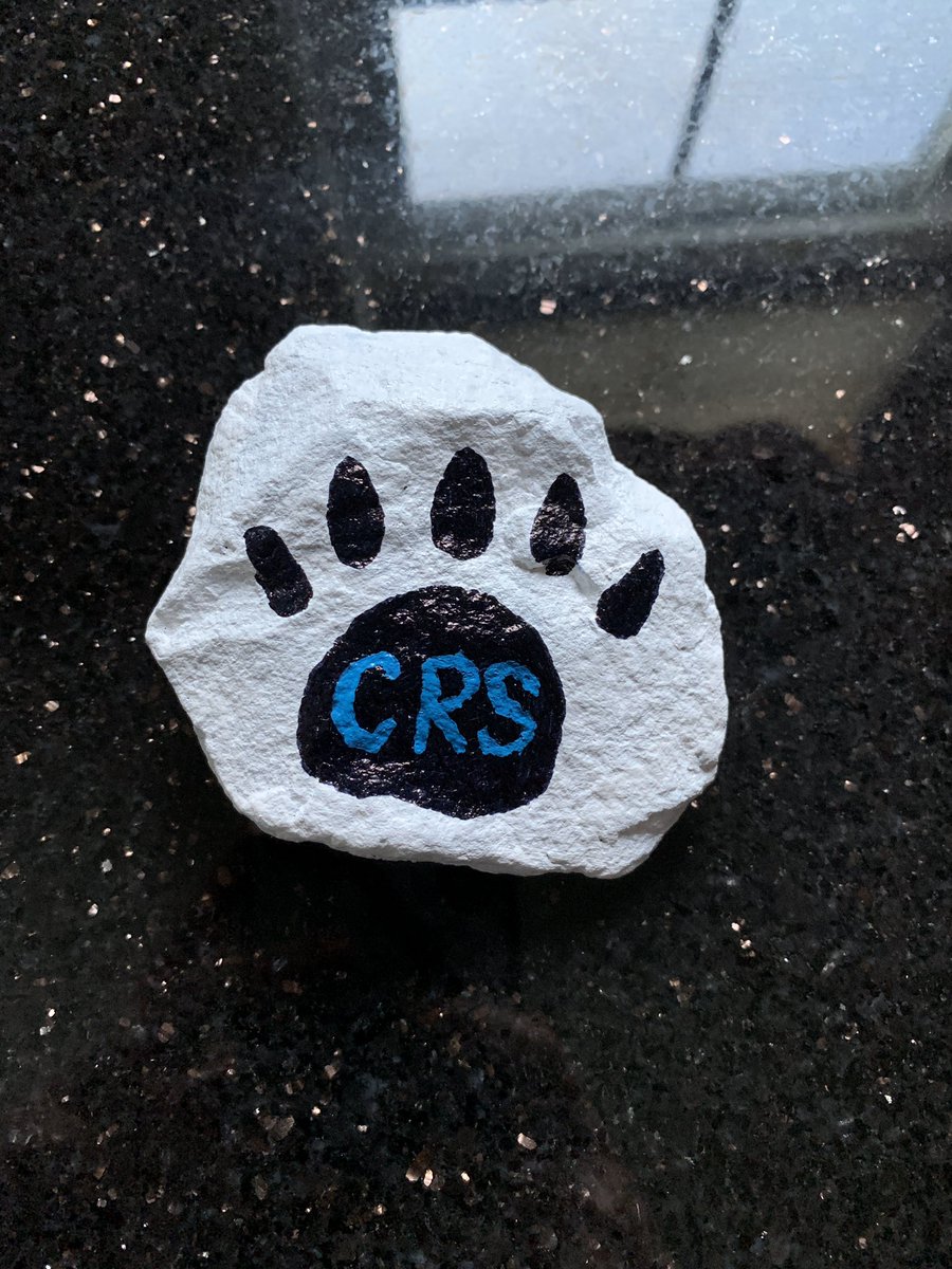MsGrazioso's tweet photo. My favorite rock from yesterday’s Kindness Rock Project. My school’s logo! @crspandas 🐼🤍🖤 https://t.co/GjJWdboisE