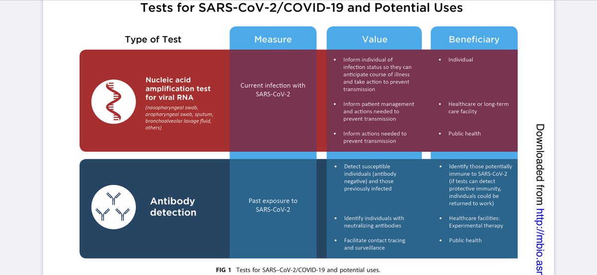 If you're curious about the differences between the two types of tests (virus nucleic acid vs antibody detection), this report from  @mbiojournal is a good explainer. Here's their breakdown:  https://mbio.asm.org/content/11/2/e00722-20