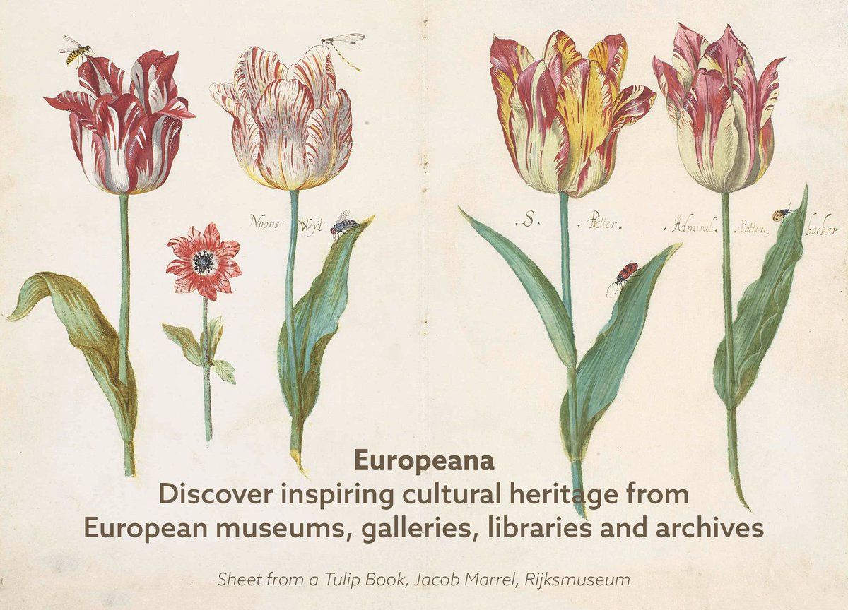 EUDelegationTur's tweet photo. 🇳🇱🇪🇺Visit the online collection of @Europeanaeu, the European Library in The Hague, one of the world’s best libraries,which was launched by the Conference of European National Librarians (CENL) in 2004!
https://t.co/urDkziX6Tm
#StayHomeTurkey🇹🇷
#EUAgainstCovid19
#EuropeAtHome🇪🇺 https://t.co/vgbStezMH6